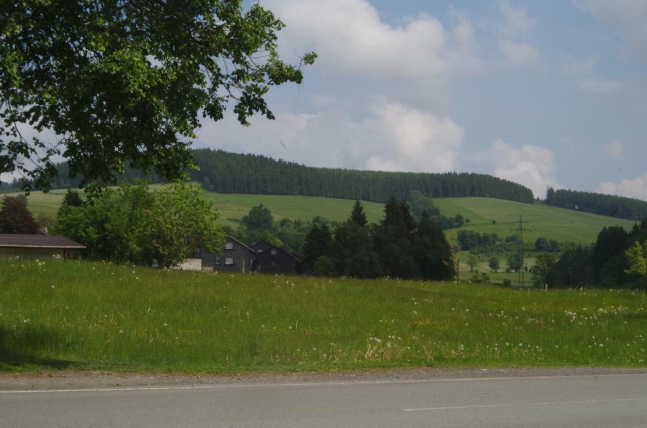 Das Gelbe Haus 3 Winterberg Exterior foto
